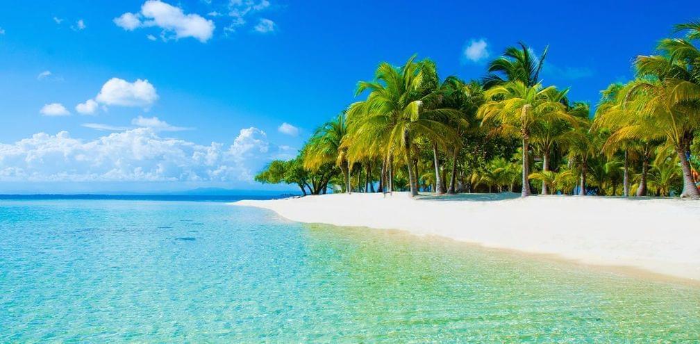 海之号角神秘海怪