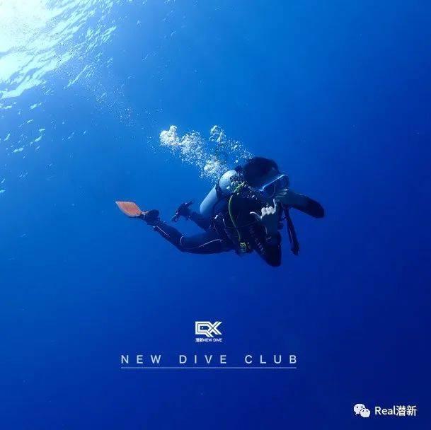 逗小猴开心系列214