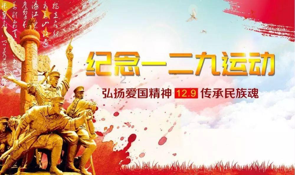 可爱的小考拉