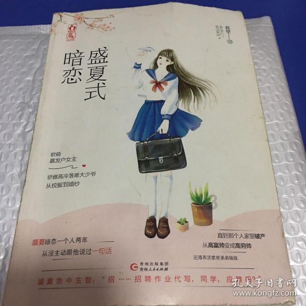 新天空之翼