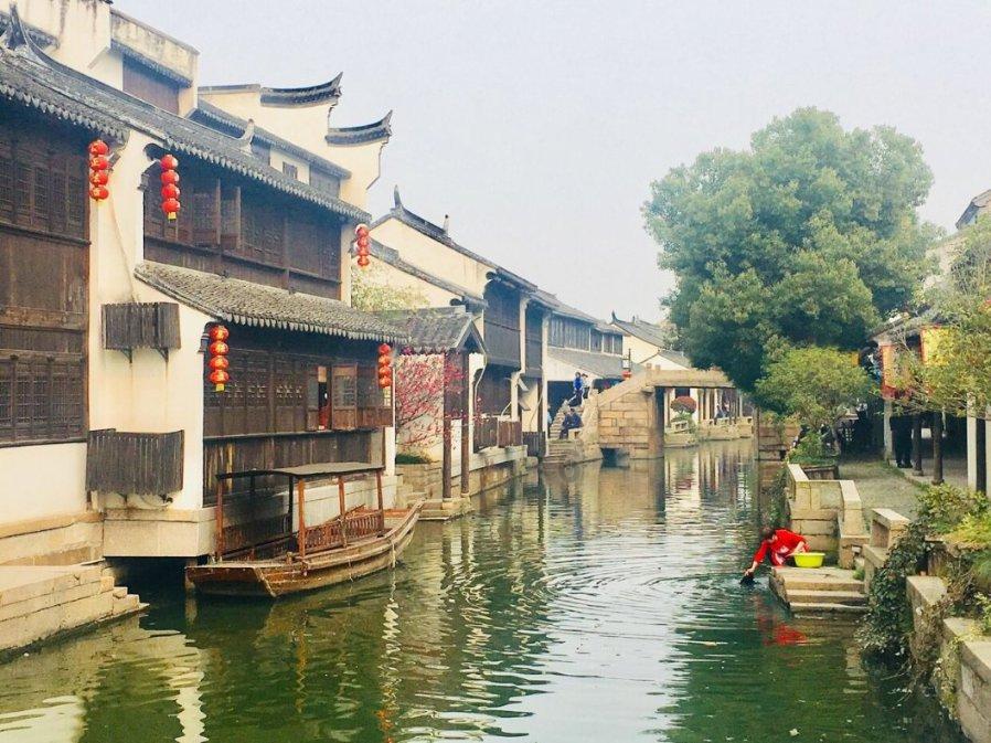 阴暗森林